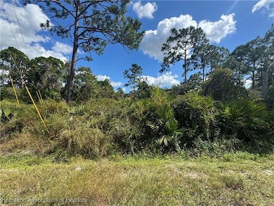 341 Fairfield Ave, Lake Placid, FL 33852 - photo 3