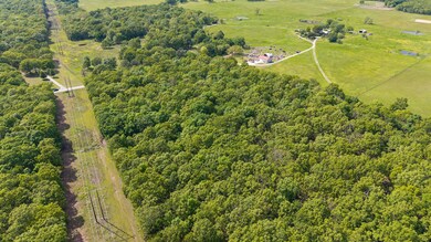 dji_20250503151158_0741_d