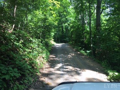 10 Persimmon Ln, Vesuvius, VA 24483 - photo 4