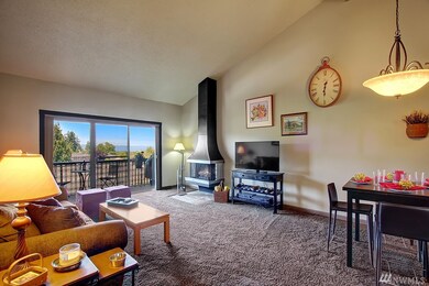 630 5th Ave S unit 206, Edmonds, WA 98020 - photo 6