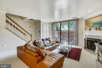 953 S Scott St unit 1, Arlington, VA 22204 - photo 4