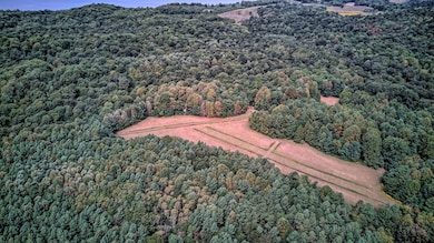 0 Bells Mines School Rd, Sturgis, KY 42459 - photo 4