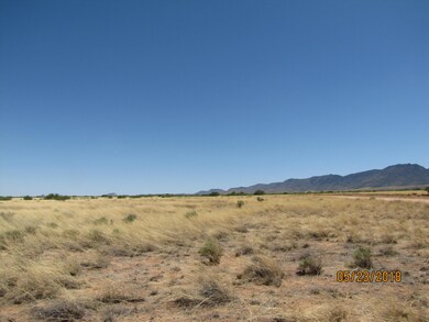 View to south