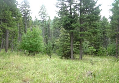 Nhn Spring Hill Rd, Kila, MT 59920 - photo 3