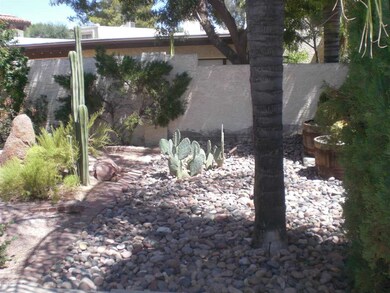 More Backyard