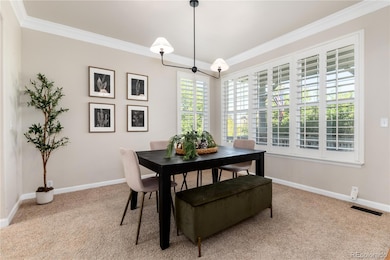 3064 Rams Horn Run, Broomfield, CO 80023 - photo 7