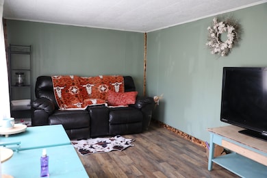 204 S 15th St, Sarcoxie, MO 64862 - photo 7