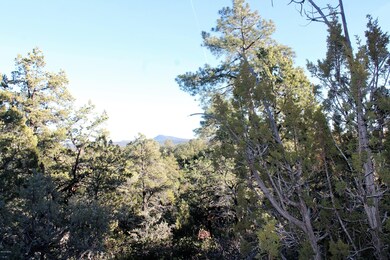 428 S Pleasant View Dr, Show Low, AZ 85901 - photo 6