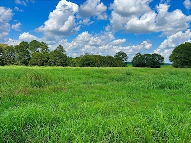 3824 Dobbins Bridge Rd, Anderson, SC 29626 - photo 7