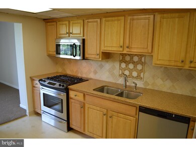 Strath Haven Condominiums unit 1029, Swarthmore, PA 19081 - photo 7