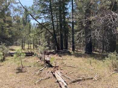 0 Nans Rock Rd unit 220121943, Mount Vernon, OR 97865 - photo 6