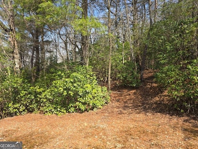 8 & 9 Up the Ridge Rd, Blairsville, GA 30512 - photo 7