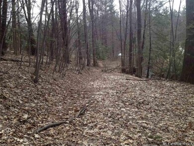 0 Foordmore Rd unit 20133920, Wawarsing, NY 12446 - photo 6