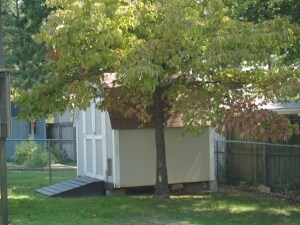 3708 Shields Dr, Harrison, AR 72601 - photo 4