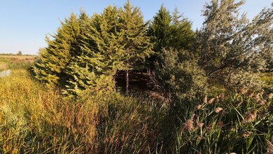 N Platte unit NE 69101, North Platte, NE 69101 - photo 5