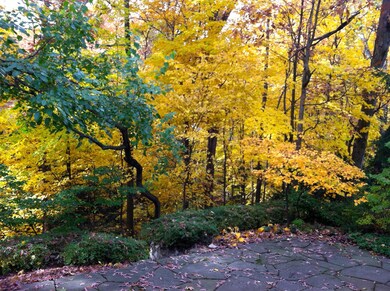 Ravine View