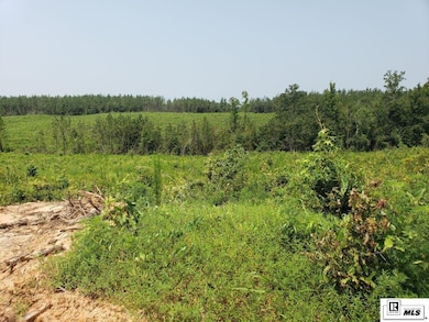 0 Demoss Rd, Eros, LA 71238 - photo 2