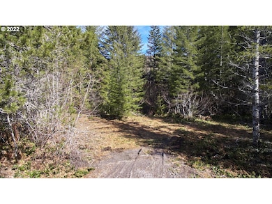 0 Lahar Ln unit 8 20357887, Cougar, WA 98616 - photo 4