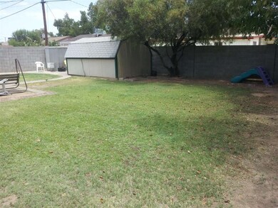 Backyard 2