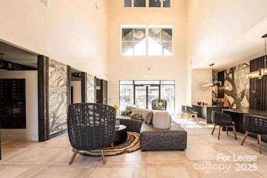 3110 Doe River Way unit Chadwick, Matthews, NC 28105 - photo 5