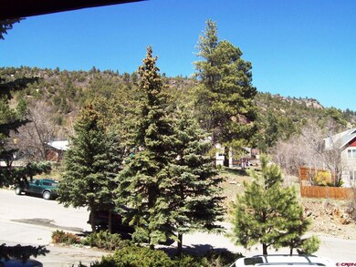 View of Animas Mountain from Deck