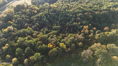 3 Tyro Branch Cove, Senatobia, MS 38668 - photo 7