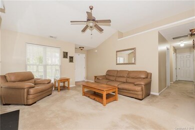 Lots of Natural Light!