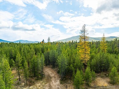 Nhn (Lot 4) Lower Lost Prairie Rd, Marion, MT 59925 - photo 6