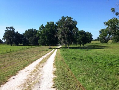 8882 NW 39th Place, Lake Butler, FL 32054 - photo 7