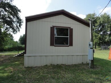 20513 Farm To Market Road 850, Arp, TX 75750 - photo 3