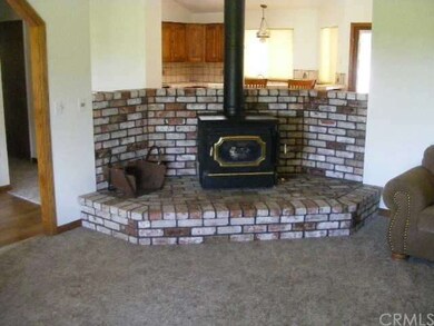 Wood stove in living room