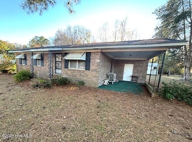 957 N Fountain Rd, MacClesfield, NC 27852 - photo 3