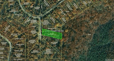 Lot 42 Lido Ln, Holiday Island, AR 72631 - photo 3