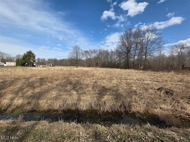 3366 Eagle Creek Rd, Leavittsburg, OH 44430 - photo 2