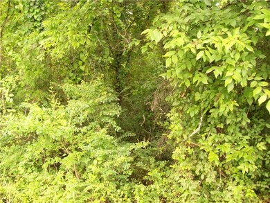 1077 Milltown Rd, Lewisburg, TN 37091 - photo 4