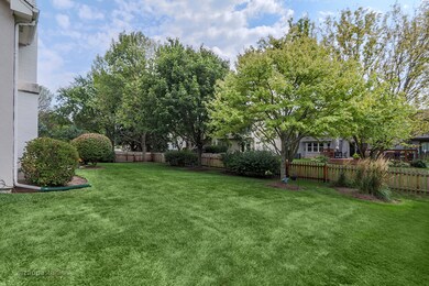 Yard/Garden