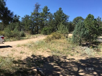 Driveway off of L Path