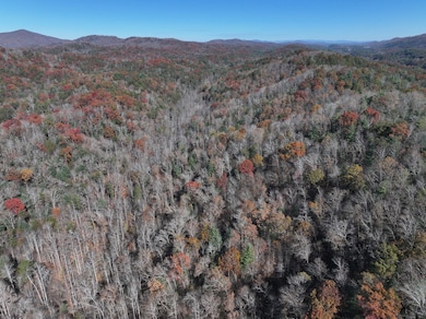 Tbd Cherry Log, Cherry Log, GA 30522 - photo 3