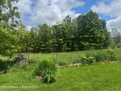 120 Tara Ct, Kingsley, PA 18826 - photo 3