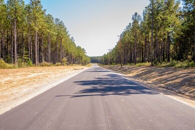 0 Queen Anne Way unit 59002626, Huntsville, TX 77340 - photo 6