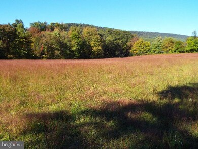 NS Fort Swatara Rd, Jonestown, PA 17038 - photo 3