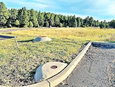 City Sewer
