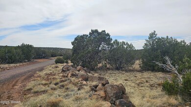 20250529_150331