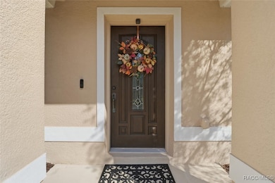 11 Heuchera Ct E, Homosassa, FL 34446 - photo 6