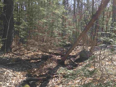 36 Effingham Rd, Ossipee, NH 03864 - photo 7