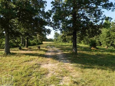 4577 Greene 609 Rd, Paragould, AR 72450 - photo 4