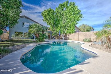 1337 N Thunderbird Ct, Gilbert, AZ 85234 - photo 5