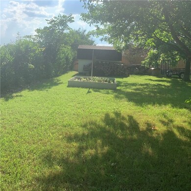 Fruit trees back yard