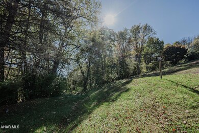 1326 Hessler St, Nanty Glo, PA 15943 - photo 4