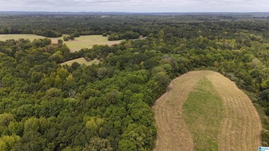 6040 Alabama 28, Snow Hill, AL 36768 - photo 5